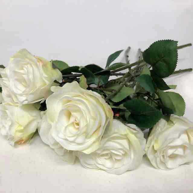 FLOWER, Rose - White 